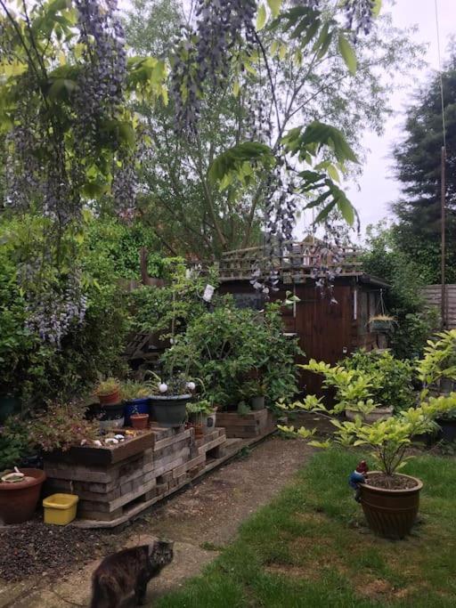 Carpe Diem Rooms Flat Near Zone 1 London Exterior foto
